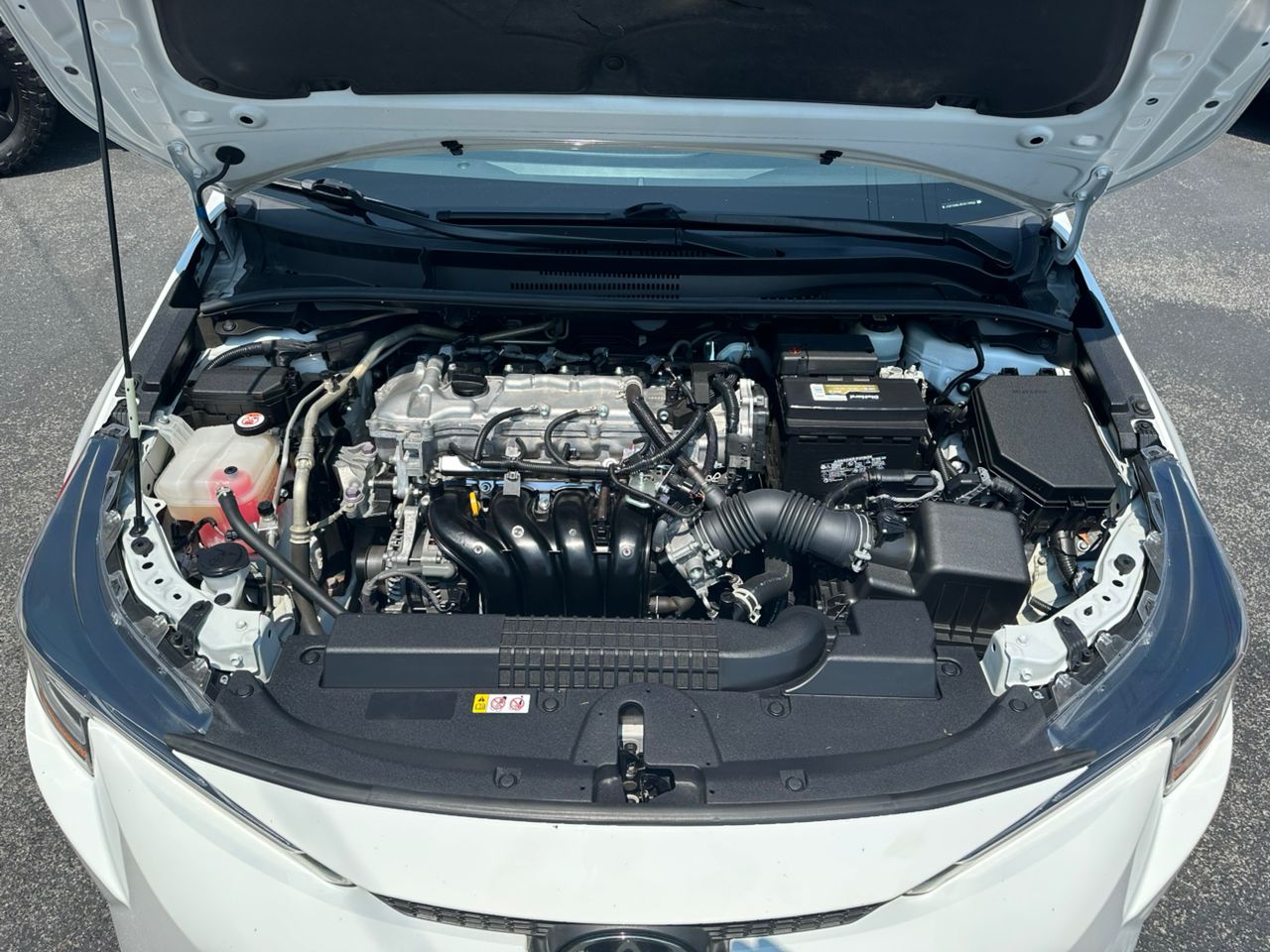 
								Toyota Corolla XLE White 2022 full									